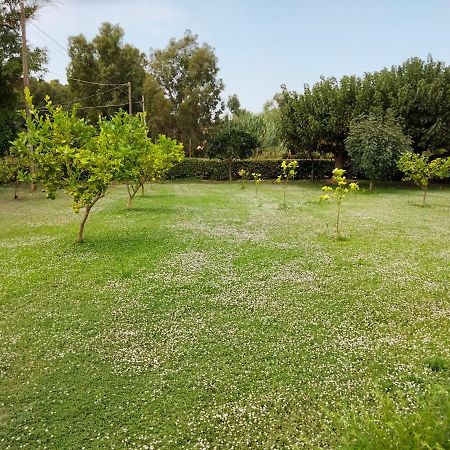 Agriturismo I Doni Del Mandorlo 알게로 외부 사진