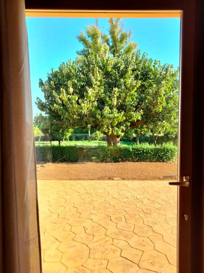 Agriturismo I Doni Del Mandorlo 알게로 외부 사진