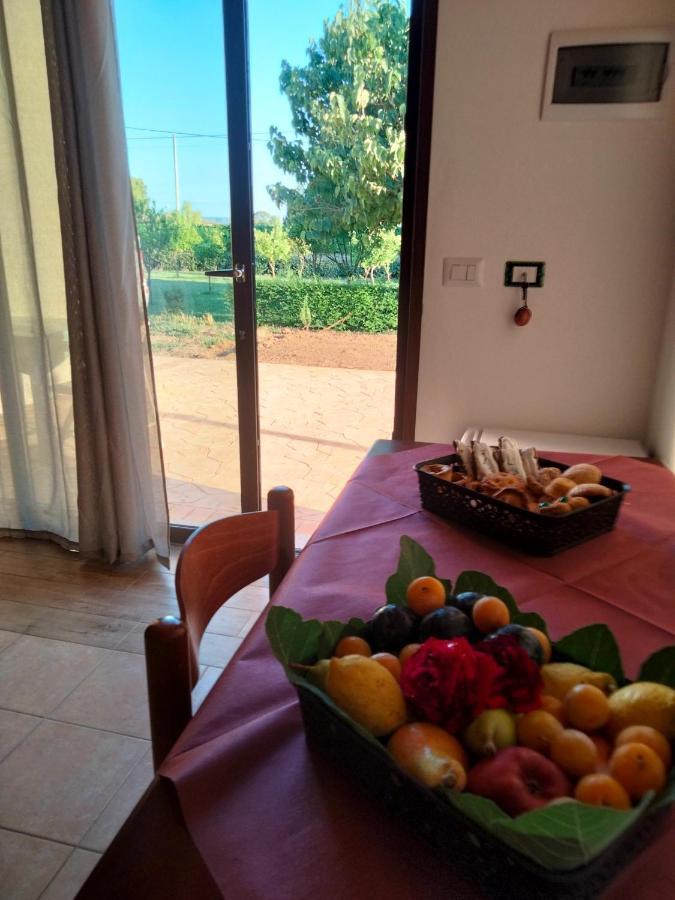 Agriturismo I Doni Del Mandorlo 알게로 외부 사진