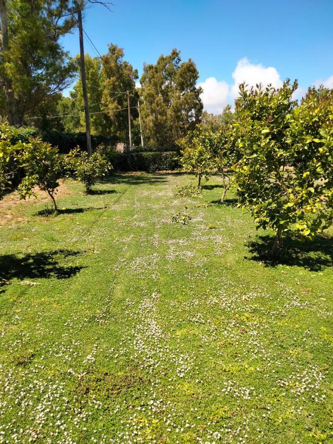 Agriturismo I Doni Del Mandorlo 알게로 외부 사진